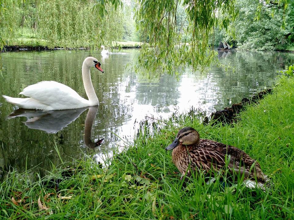 Beatrixpark