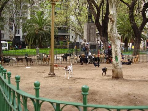 Avenida de Mayo Dog Park