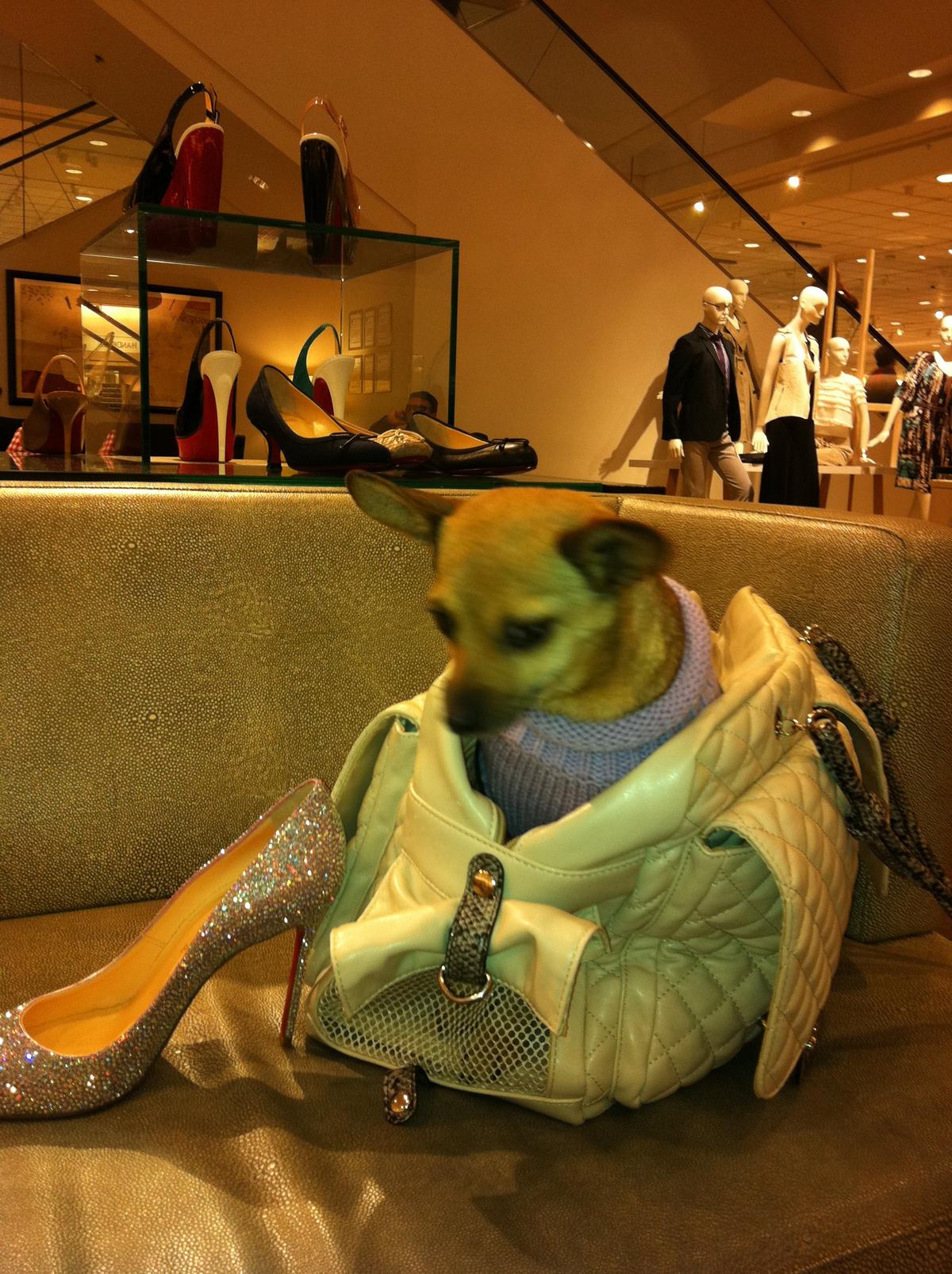 Nordstrom