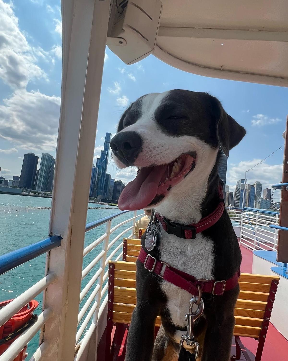 Shoreline Sightseeing