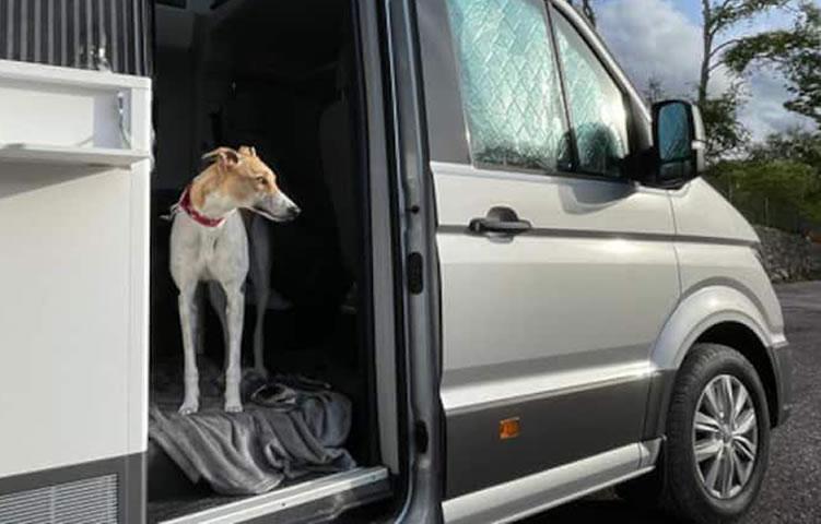 Iconic Campervan Rentals