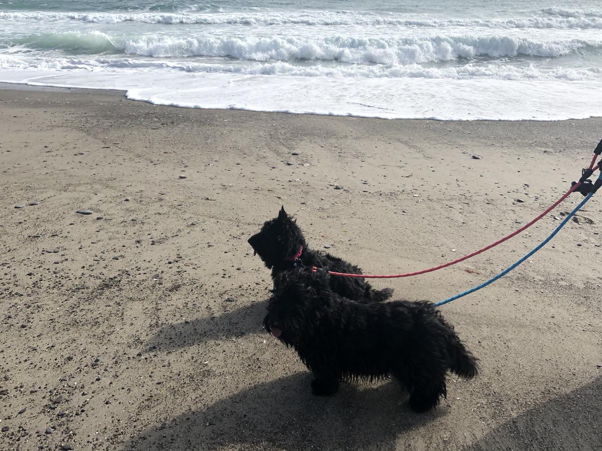 Red Strand Beach