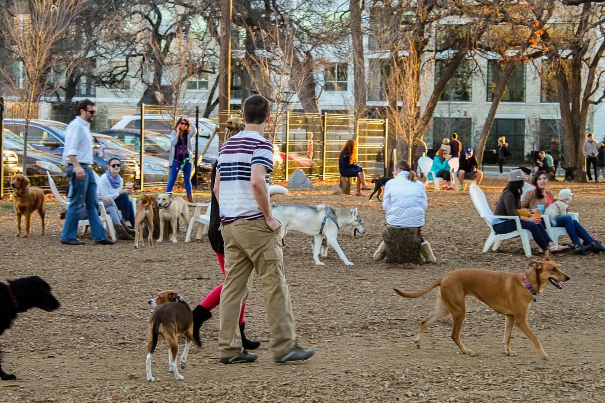 MUTTS Canine Cantina