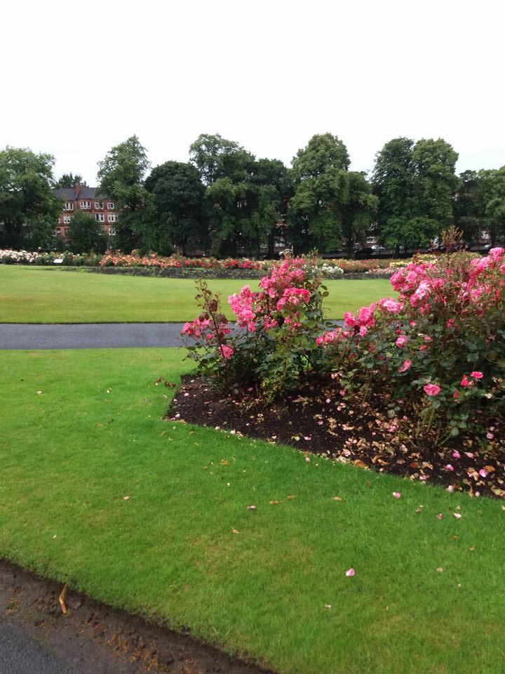 Tollcross Park