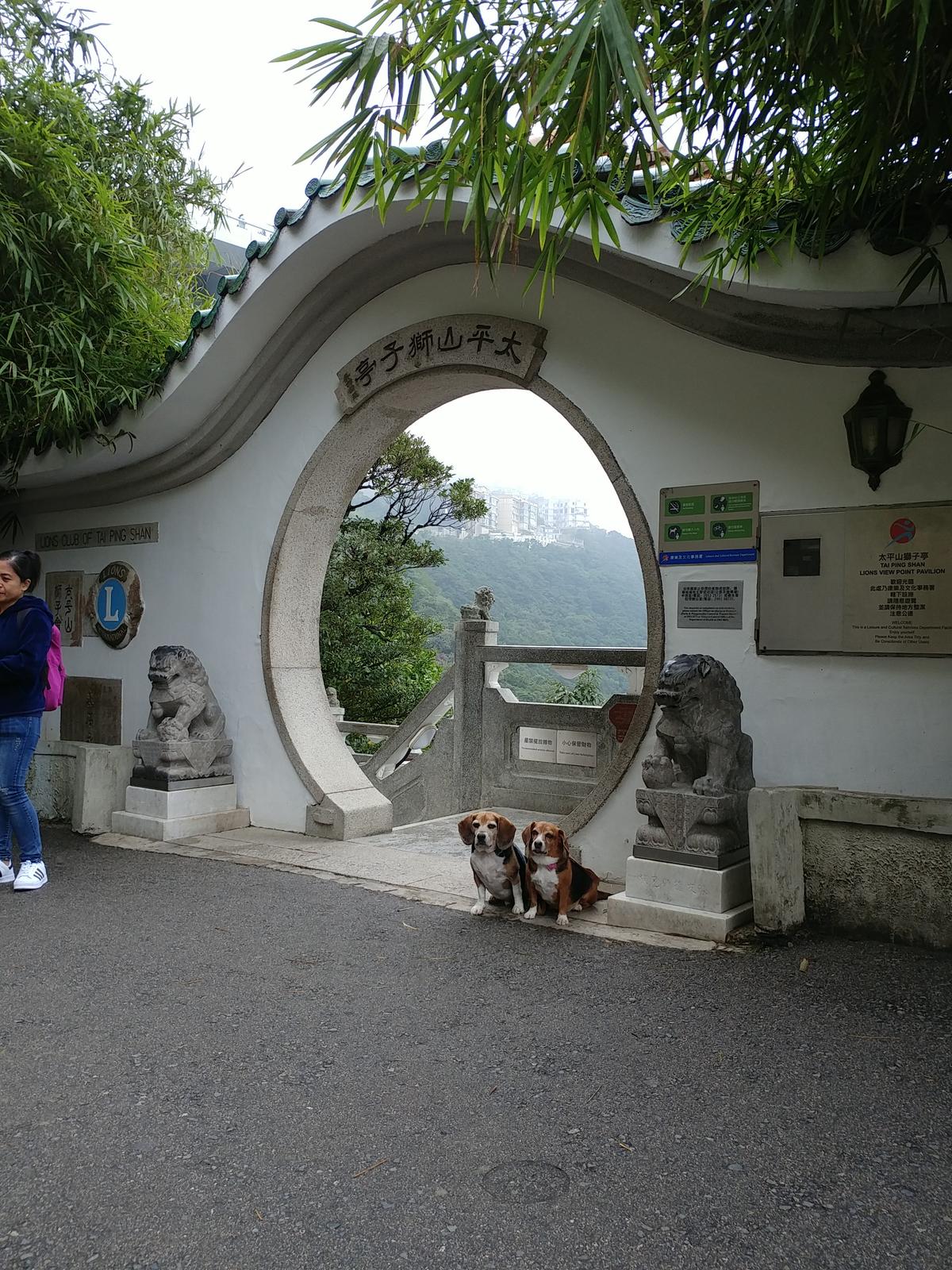 The Peak Lookout