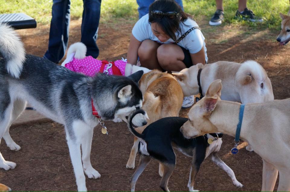 Elaine Dobashi Hawai'i Kai Dog Park