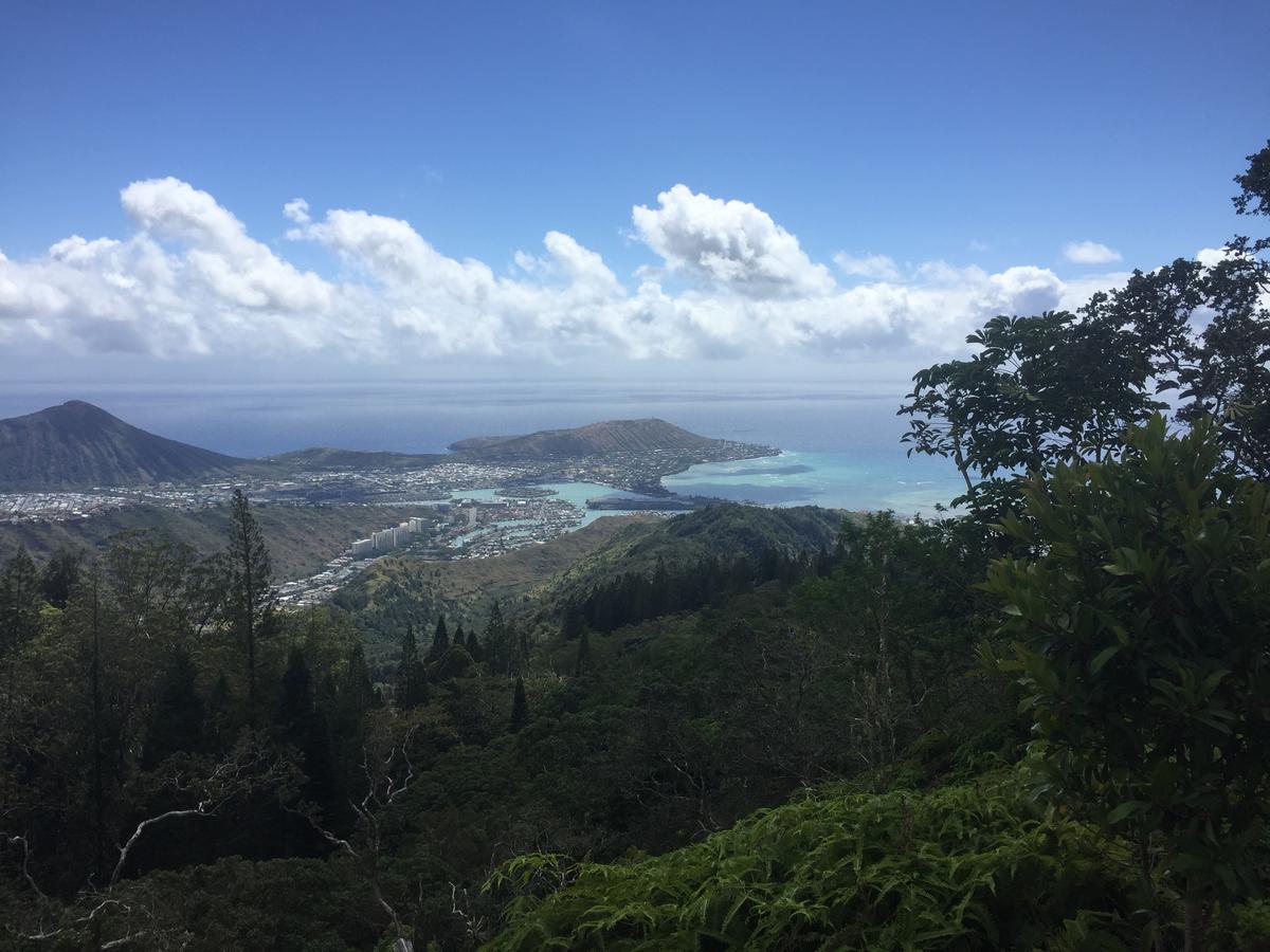 Kuliouou Ridge Trail