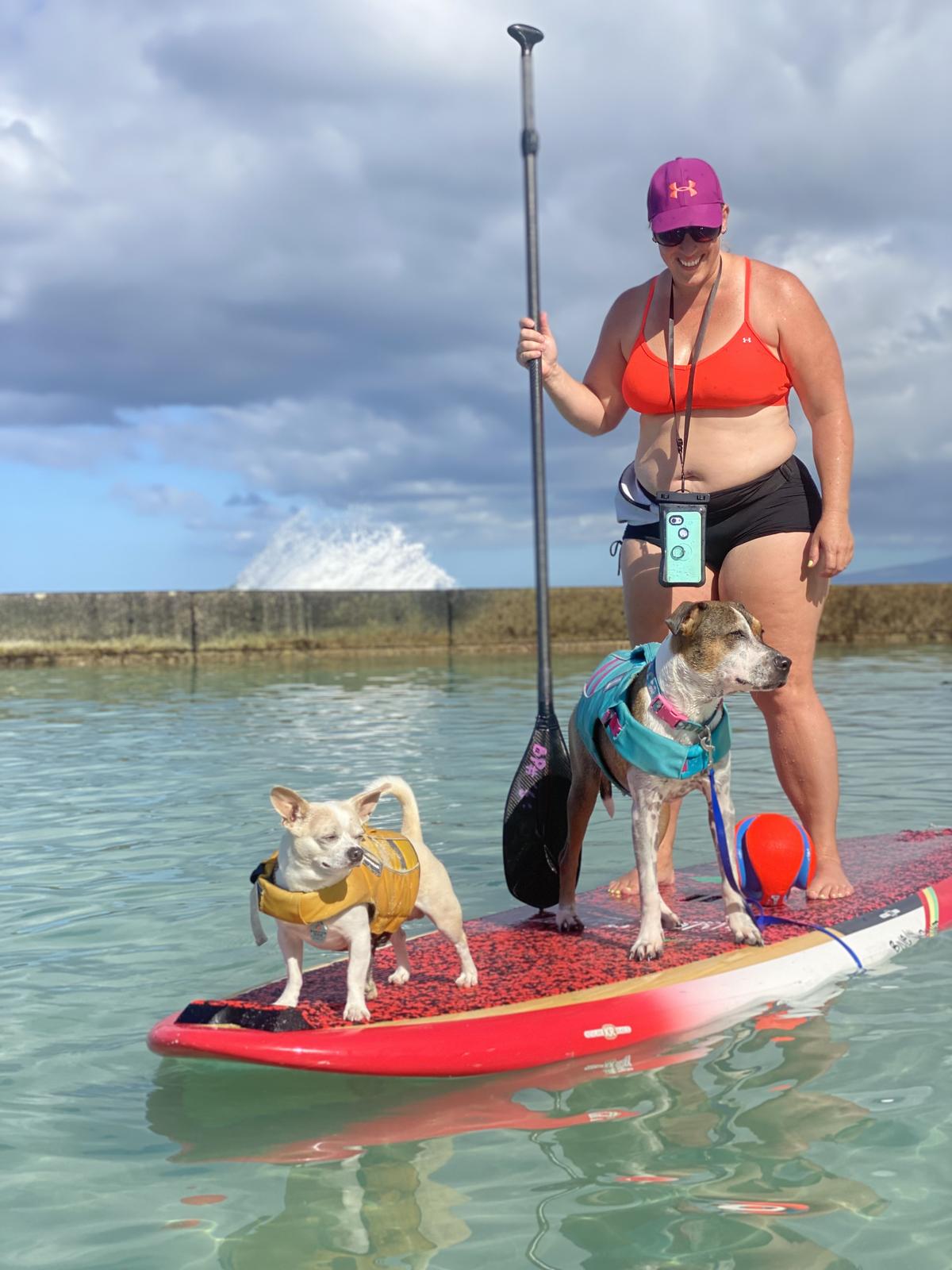 SUPDog Hawaii