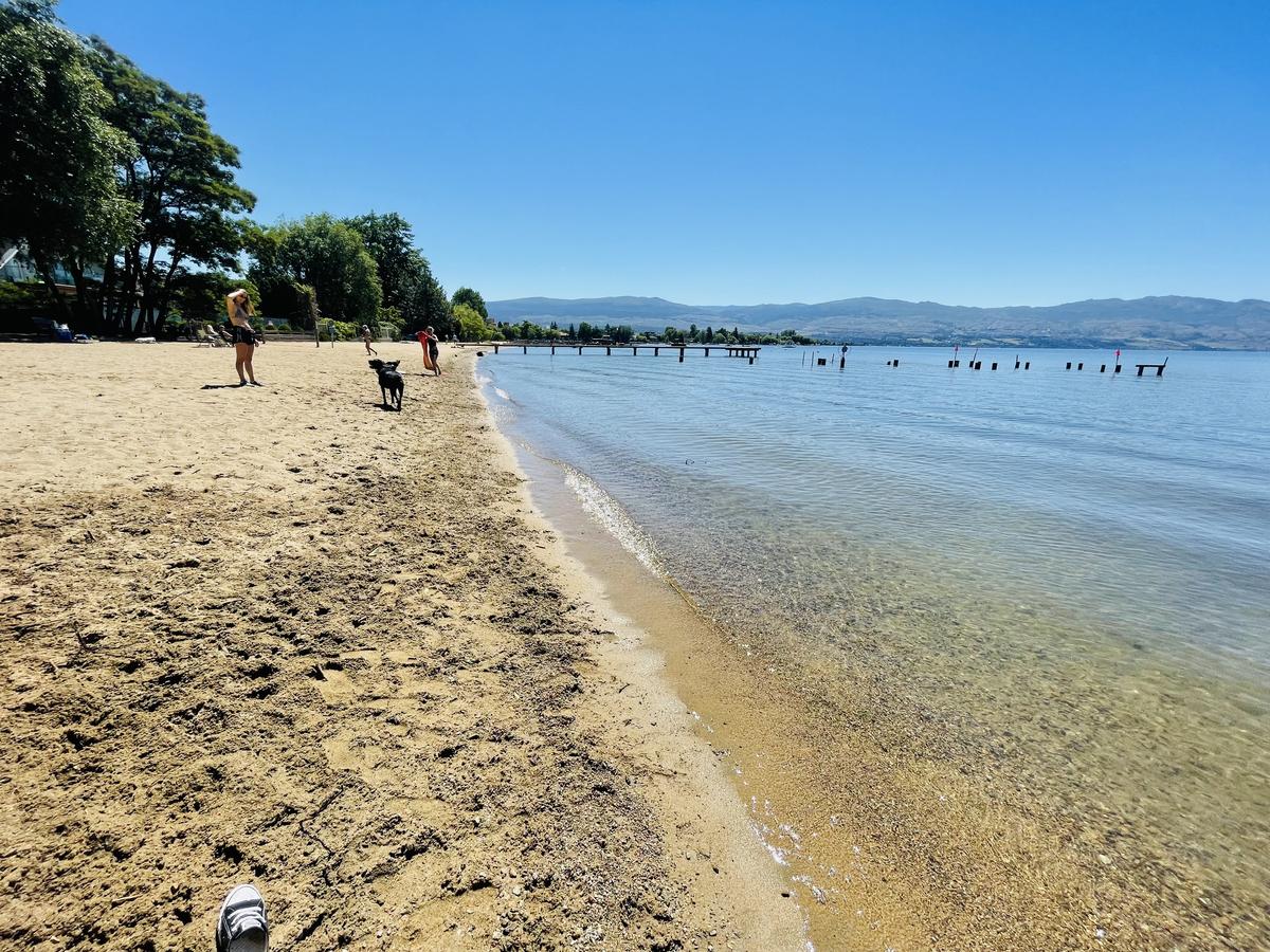 Lake Avenue Dog Off-Leash Beach