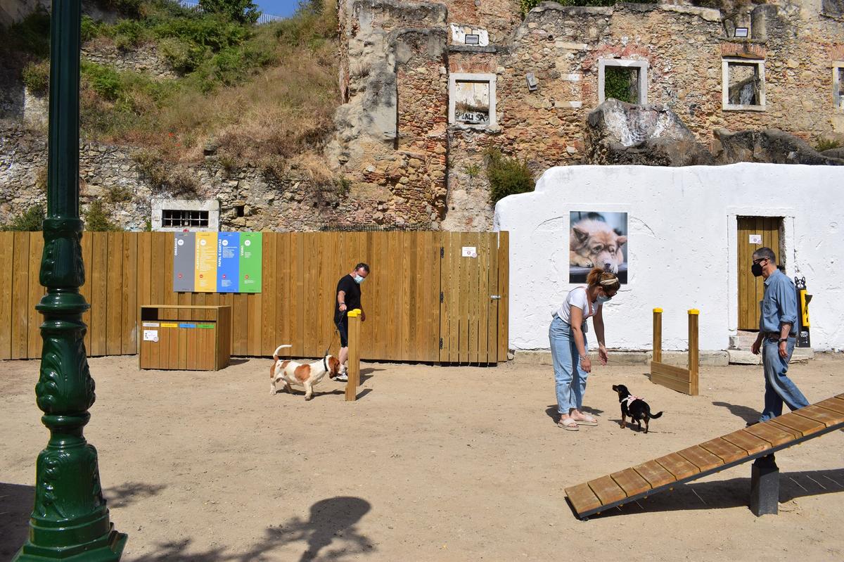 Animacão Dog Park