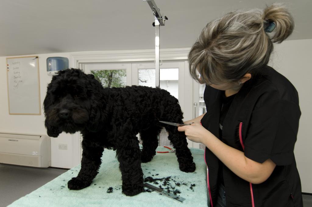 hairofthedoglondon