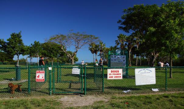 Coconut Grove Dog Park at David T. Kennedy Park