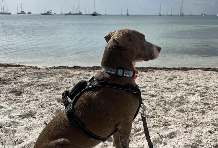 Hobie Island Beach Park