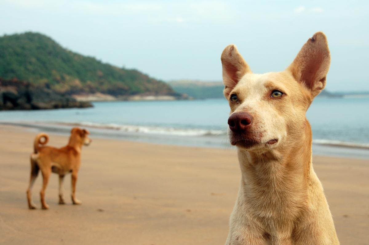 Aksa Beach