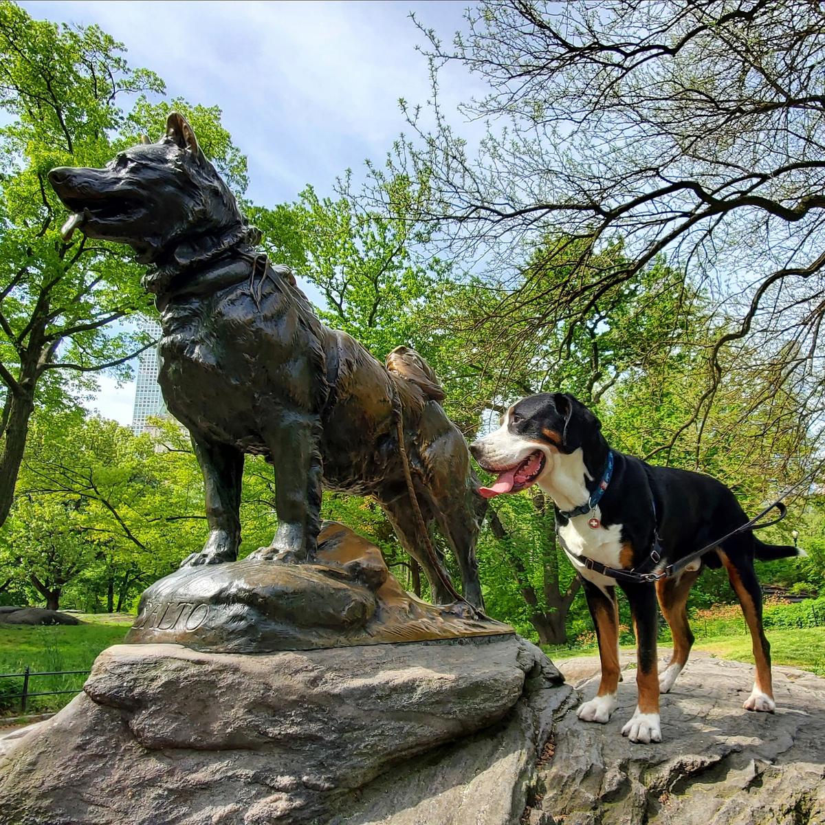 Central Park
