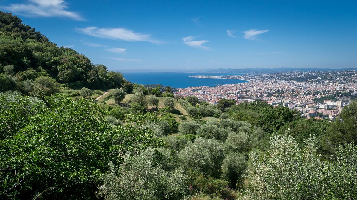 Parc du Vinaigrier
