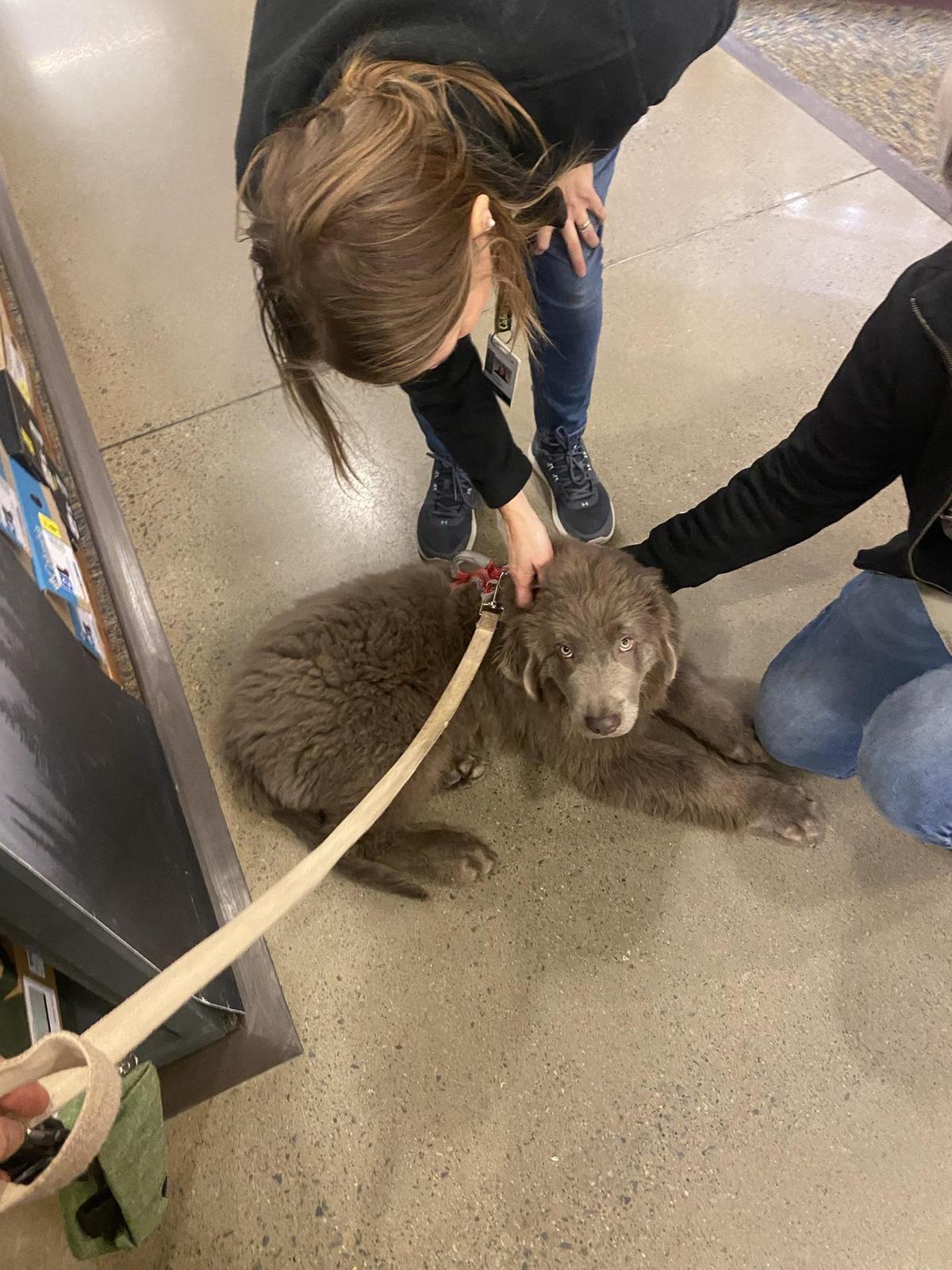 Cabela's
