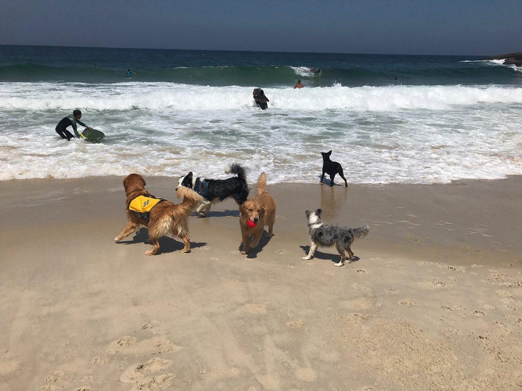 Praia do Diabo