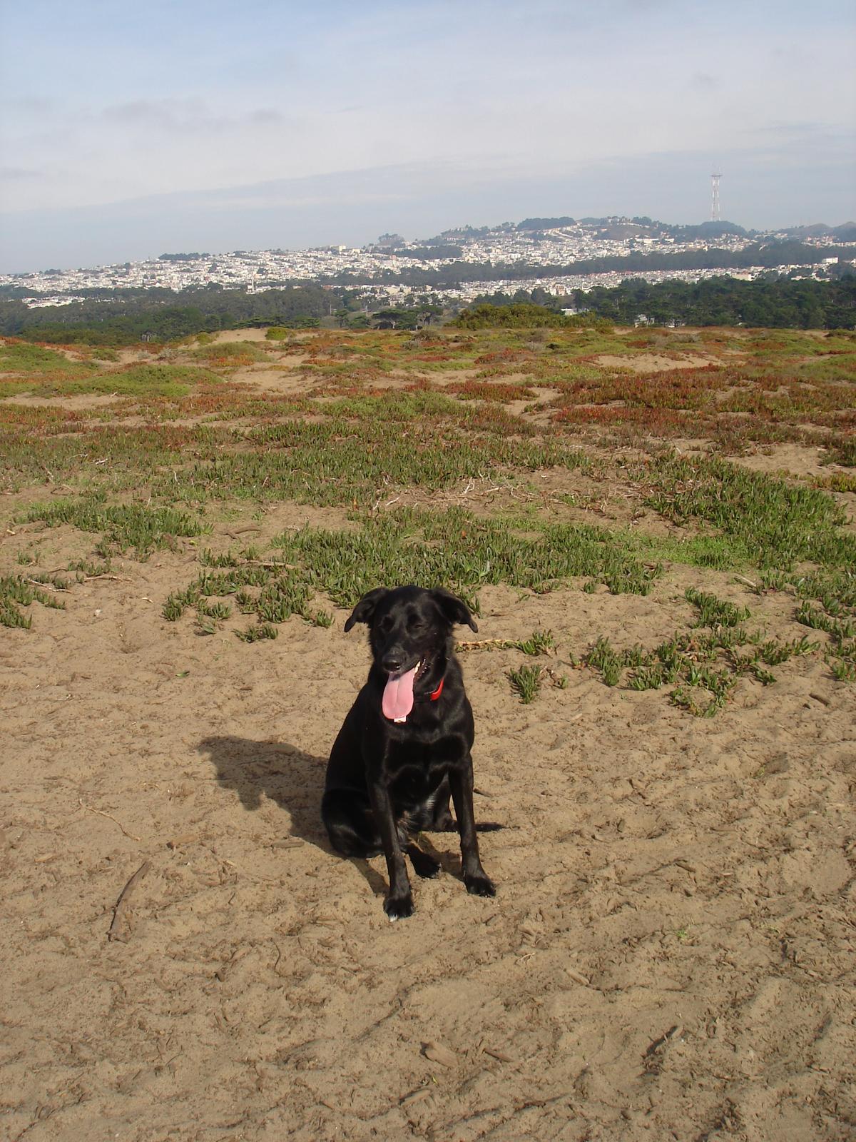 Fort Funston