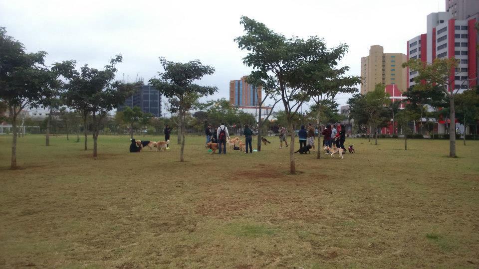 Cachorródromo do Parque da Juventude