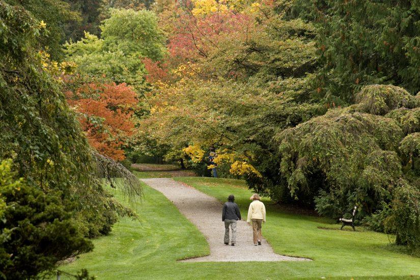 Washington Park Arboretum