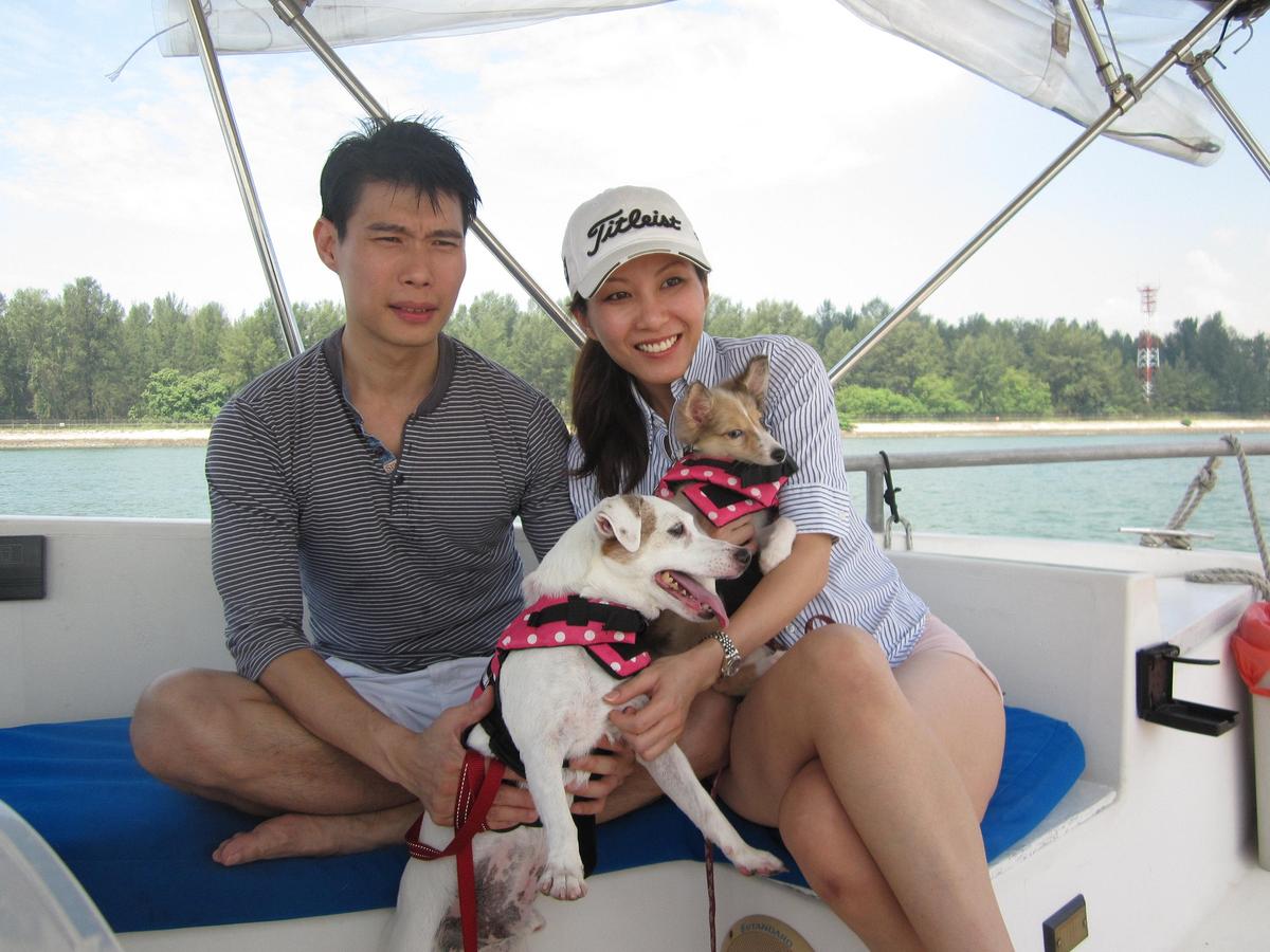 Pet Cruise