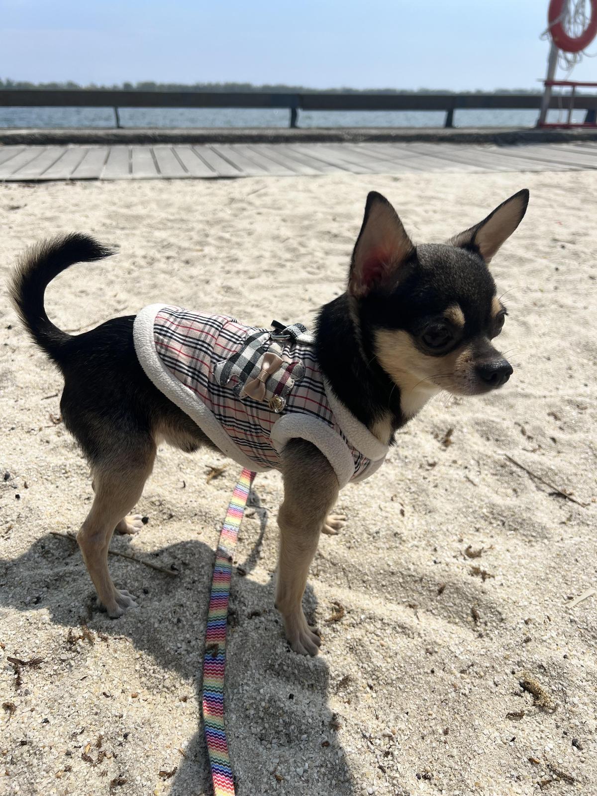 Sugar Beach Park