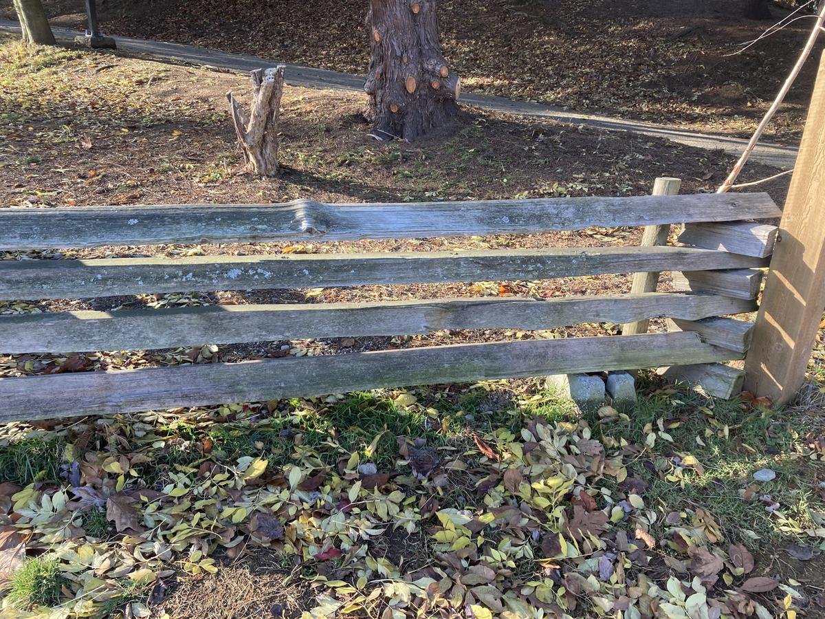 Charleson Park