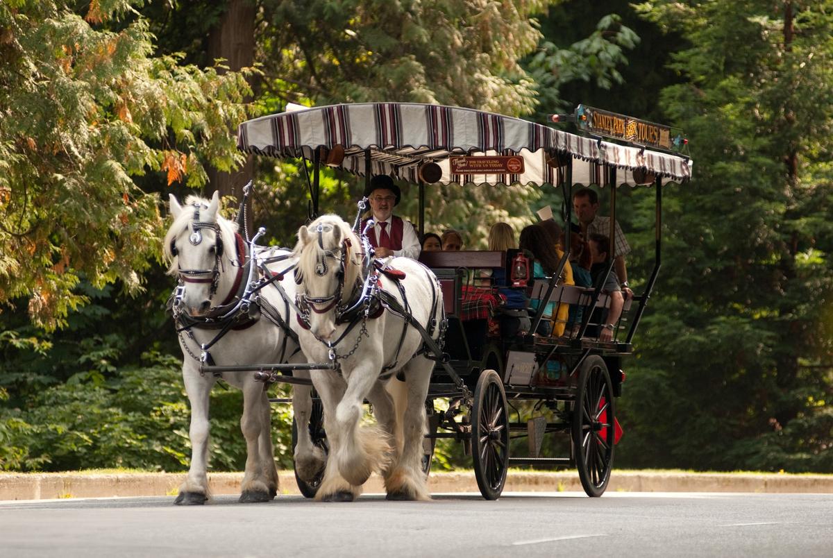 Stanley Park Horse-Drawn Tours