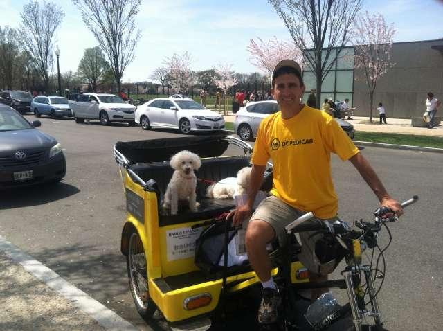 Nonpartisan Pedicab