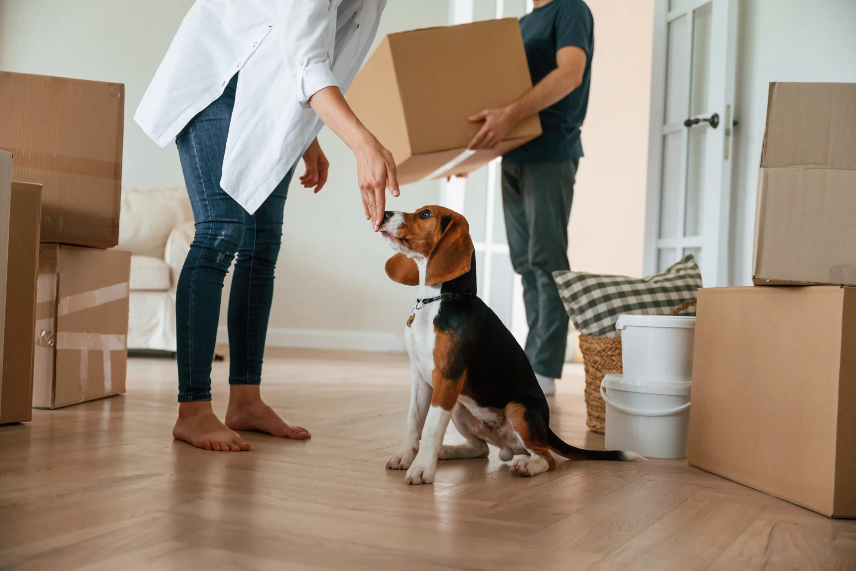 Family moving to a new home with their dogs