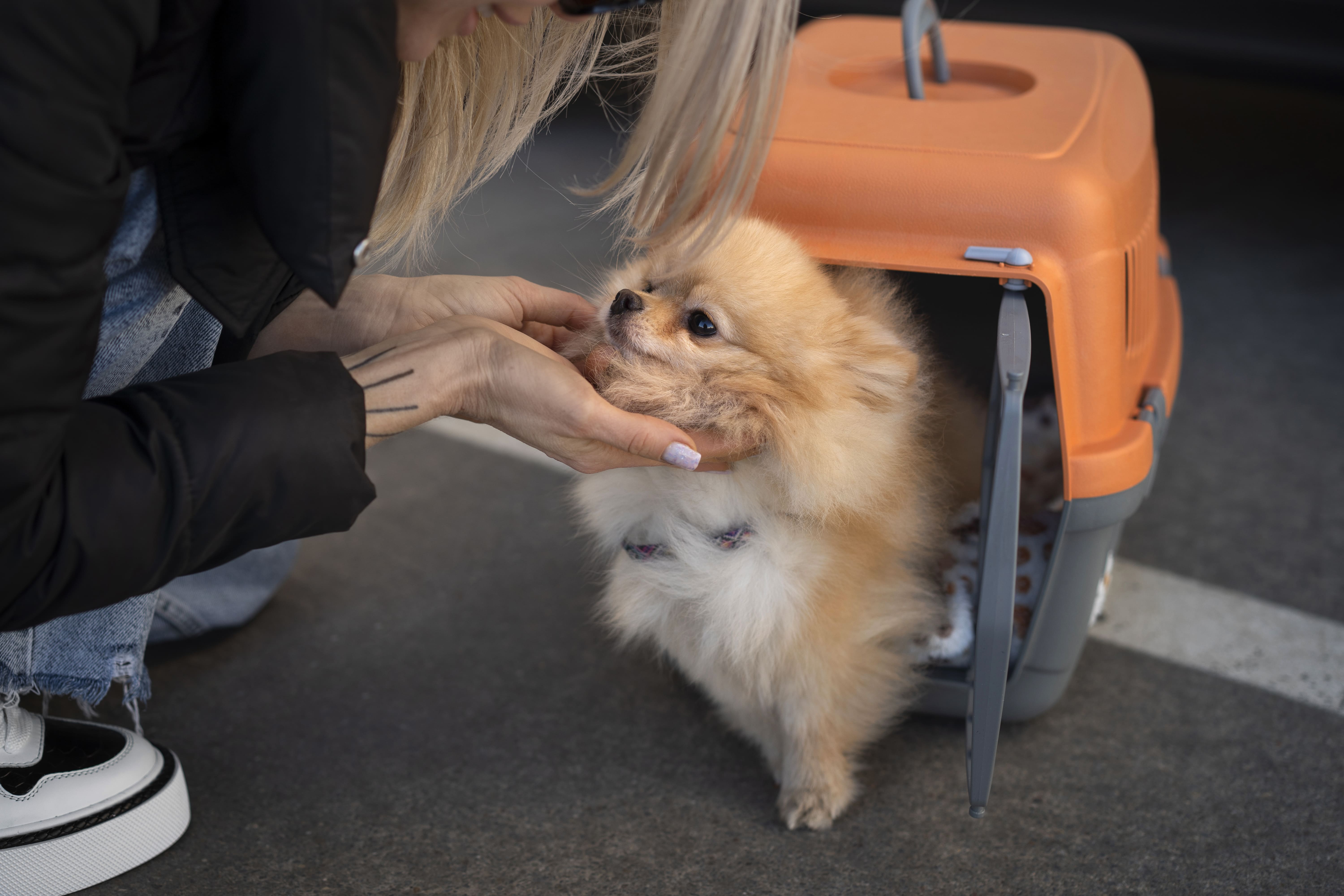 Woman with her dog, calm and ready for their family relocation