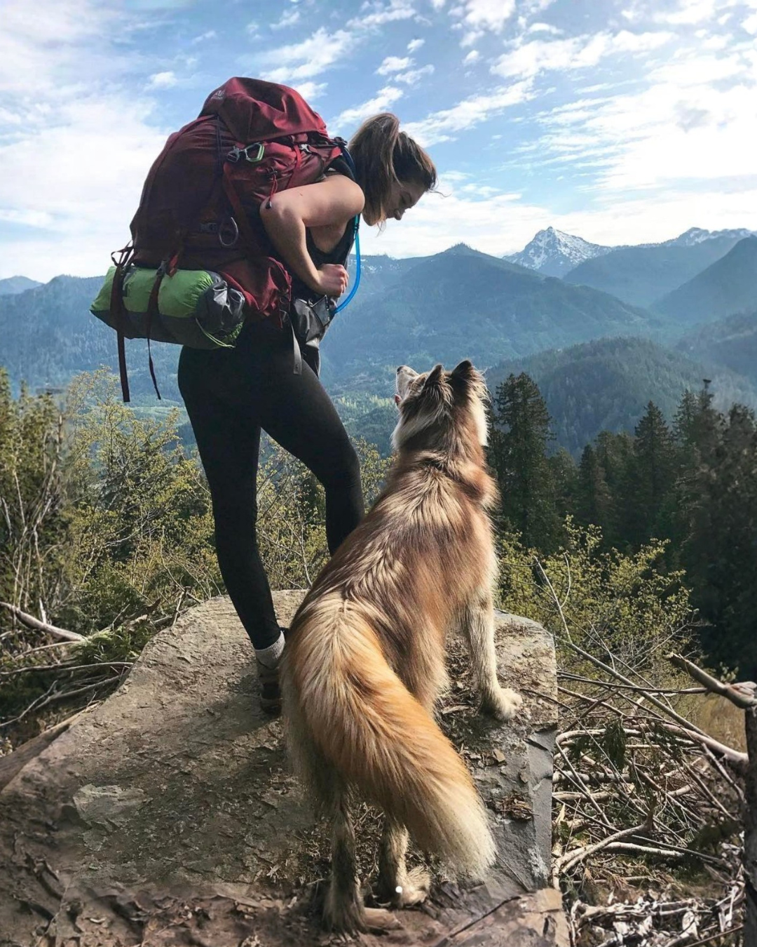 Pet travel